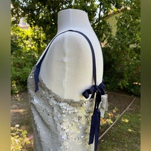 J. Crew Silver Sequin Dress with Navy Straps